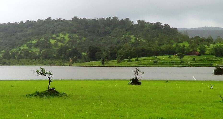 Paradise Jungle Resort, Kolhapur 2